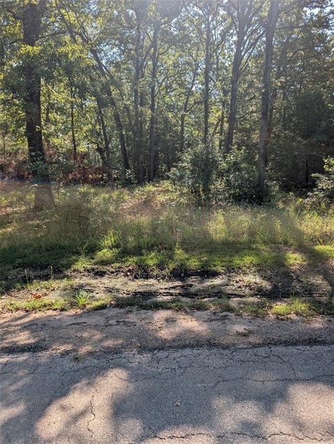 Photo of 202 Chillacothe Trail, Mabank, TX 75156 (MLS # 21385147)