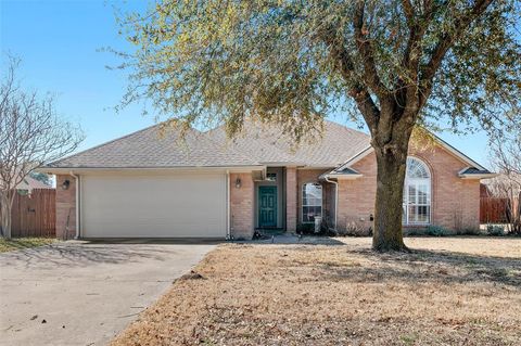 Photo of 807 Birch Circle, Van Alstyne, TX 75495 (MLS # 21177742)