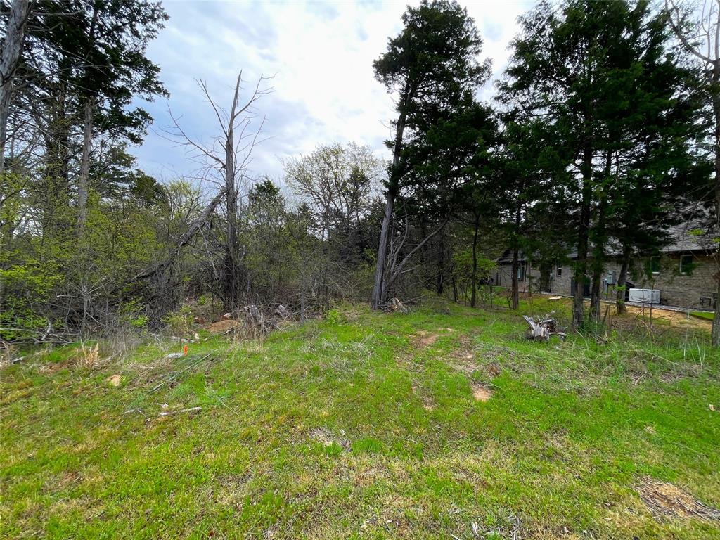 Lot 3C Palisades Circle