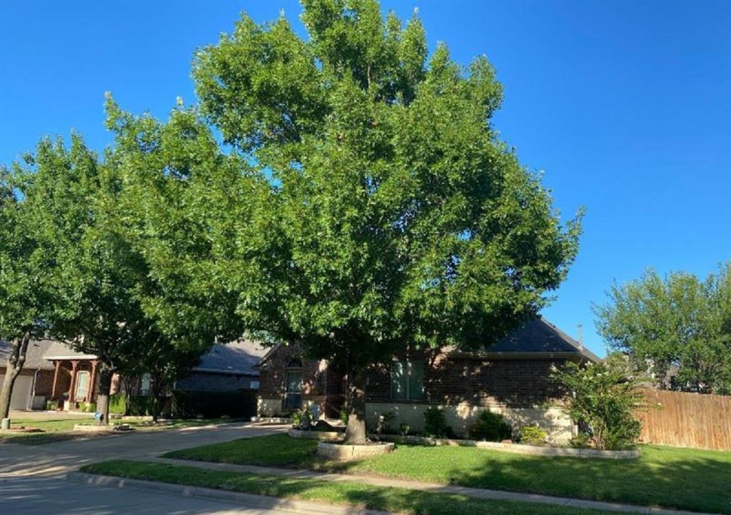 8101 Summerleaf Drive