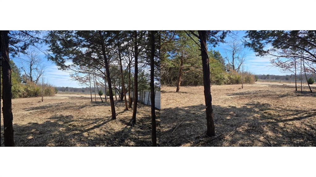 Clover Blossom Farms - Land