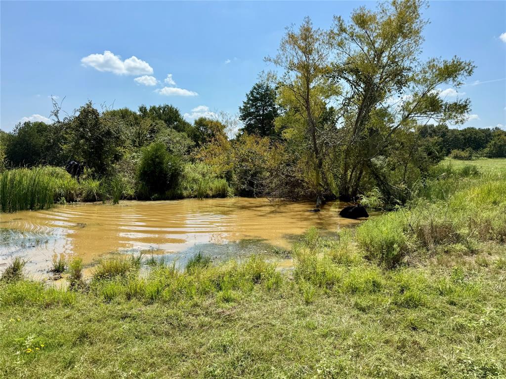 Moore Abstract - Residential