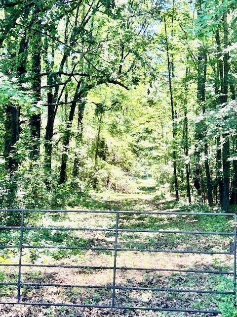 75 Acres - Land