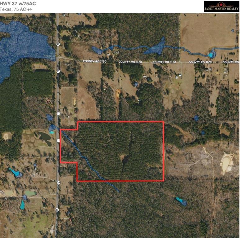 75 Acres - Land
