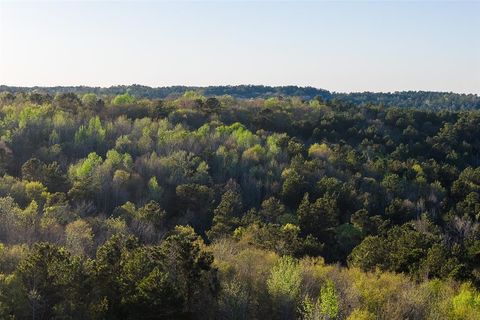 Photo of 0 Farm to Market Road 747, Jacksonville, TX 75766 (MLS # 21213336)