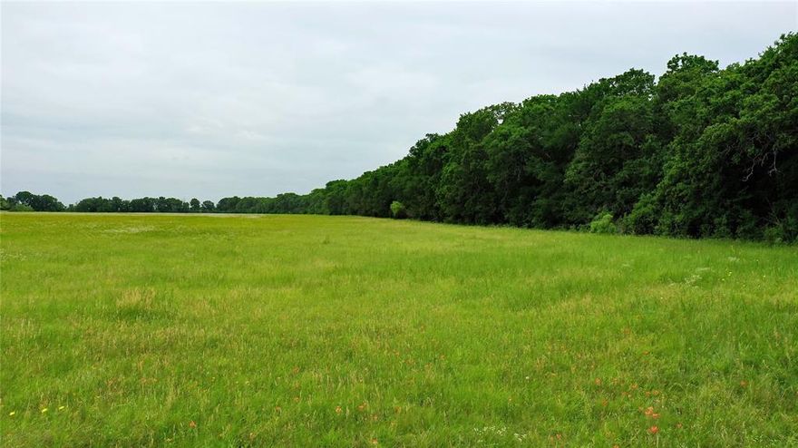 Nestled on a quiet county road and conveniently located near the Brazos River, this picturesque estate offers a serene and peaceful setting with no floodplain, pipelines, oil and gas, or transmission line easements. The land boasts a blend of mature oak trees, providing ample shade and natural beauty, and expansive coastal and native grass fields, currently utilized for hay production, offering versatility and potential income generation.The property features a picturesque landscape with mature oak trees offering shade, and vast fields of coastal and native grasses. The field is currently used for hay production. 

Whether you plan to build your dream home amidst the tranquility of the countryside, create a haven for your horses to roam freely, or establish a cattle operation, this property offers a wide range of possibilities. For the hunter, deer and other game animals on the property present exciting opportunities for outdoor recreation and sport.

For easy access and future development, the property has approximately 2,900 feet of paved county road frontage on three sides. Water wells in the area are available at a depth of 500-600 feet. This property is located outside of city limits and is only twenty-five minutes to Cleburne, forty minutes to Granbury, and less than one hour from Fort Worth when using the Chisholm Trail Parkway. With its prime location, abundant natural resources, and versatile landscape, this ranchette property offers endless possibilities for those seeking a peaceful and fulfilling lifestyle in a picturesque setting.