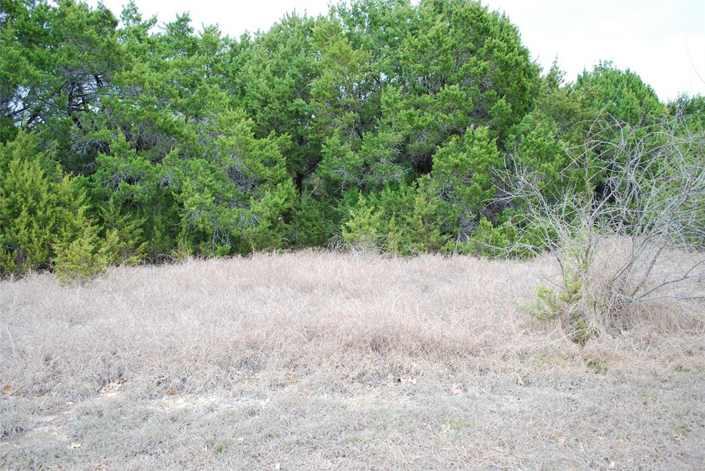 43111 Indian Blanket Drive