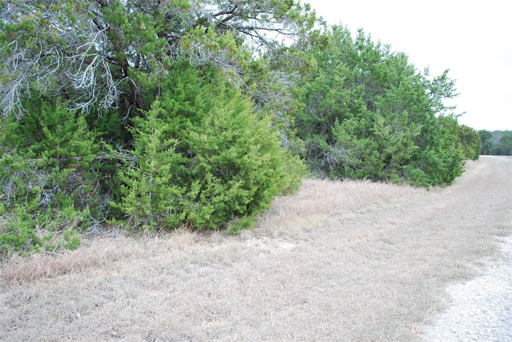 43111 Indian Blanket Drive