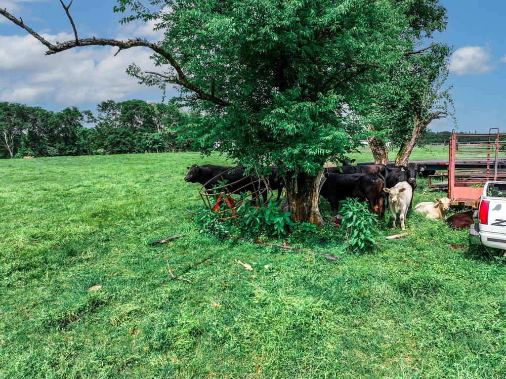 SUR: RAMSEY D - Residential