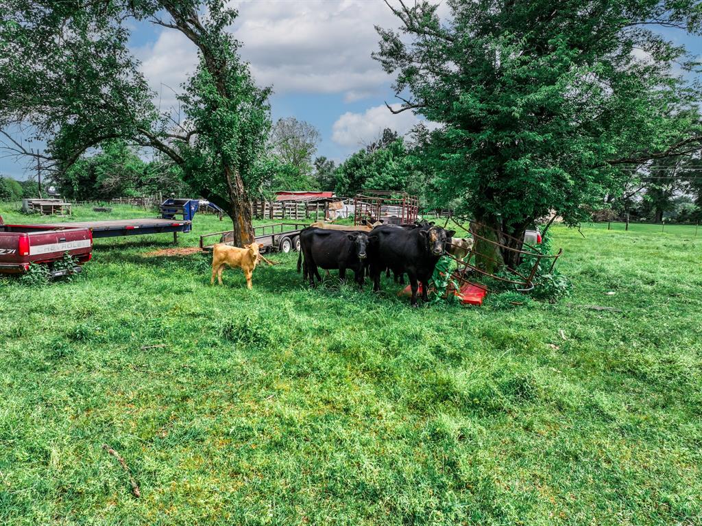 SUR: RAMSEY D - Residential