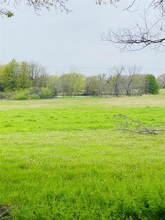 Abstract #372 T Hooper Surv - Land