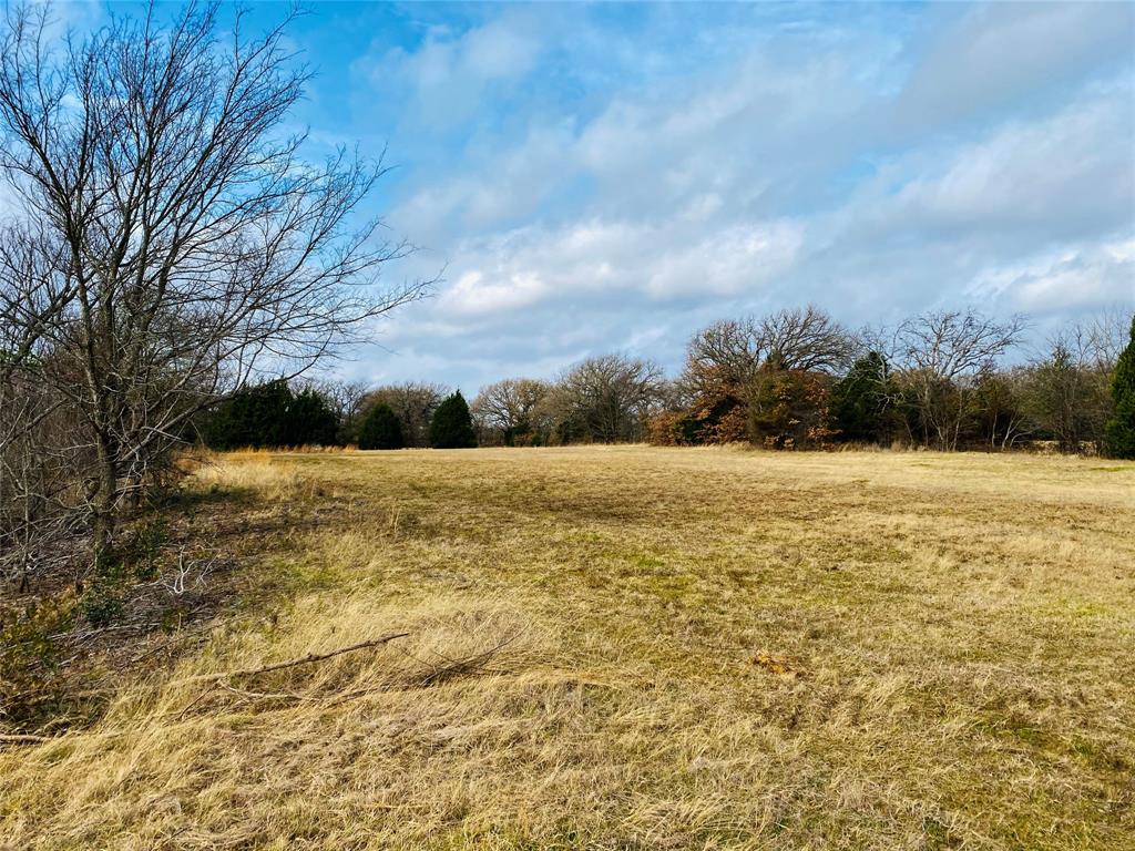 Abstract #372 T Hooper Surv - Land