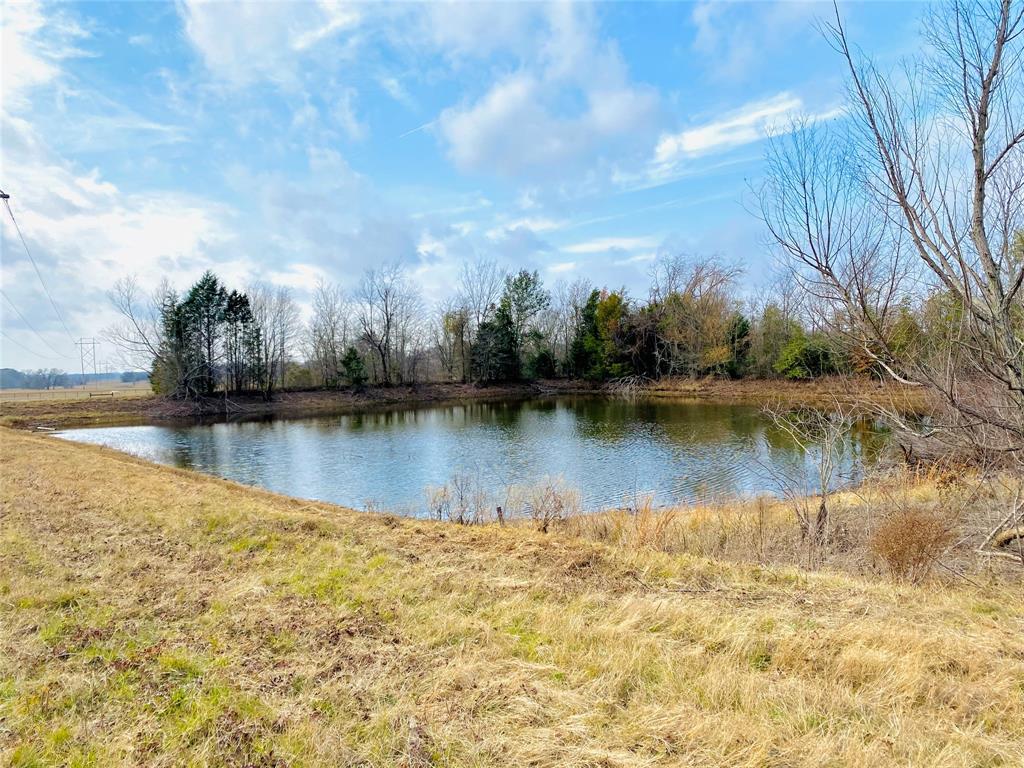 Abstract #372 T Hooper Surv - Land