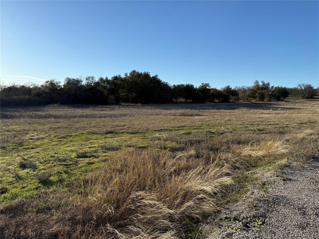 Monarch Manor - Land