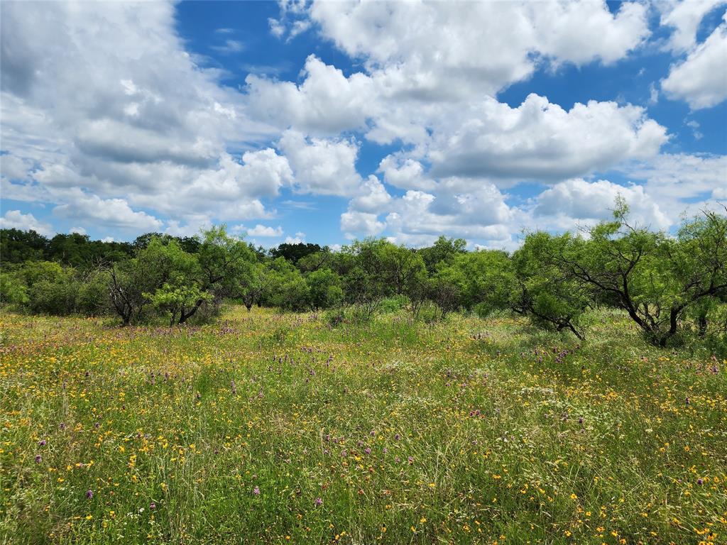 TBD County Road 127