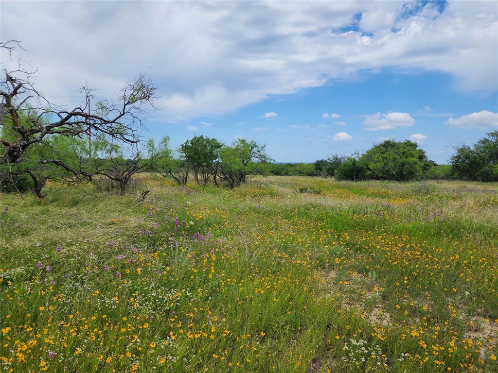 TBD County Road 127