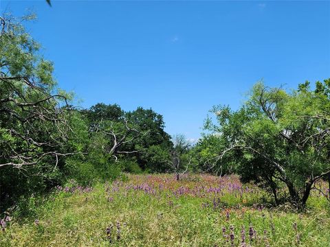 TBD County Road 127 Rising Star TX 76471