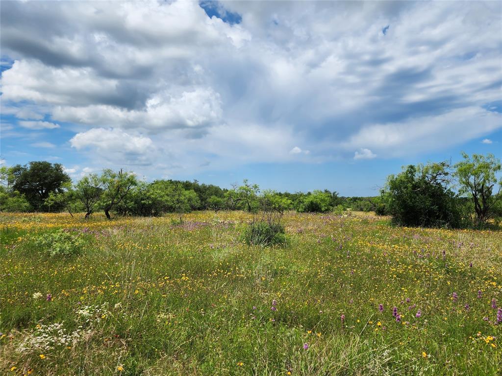 TBD County Road 127