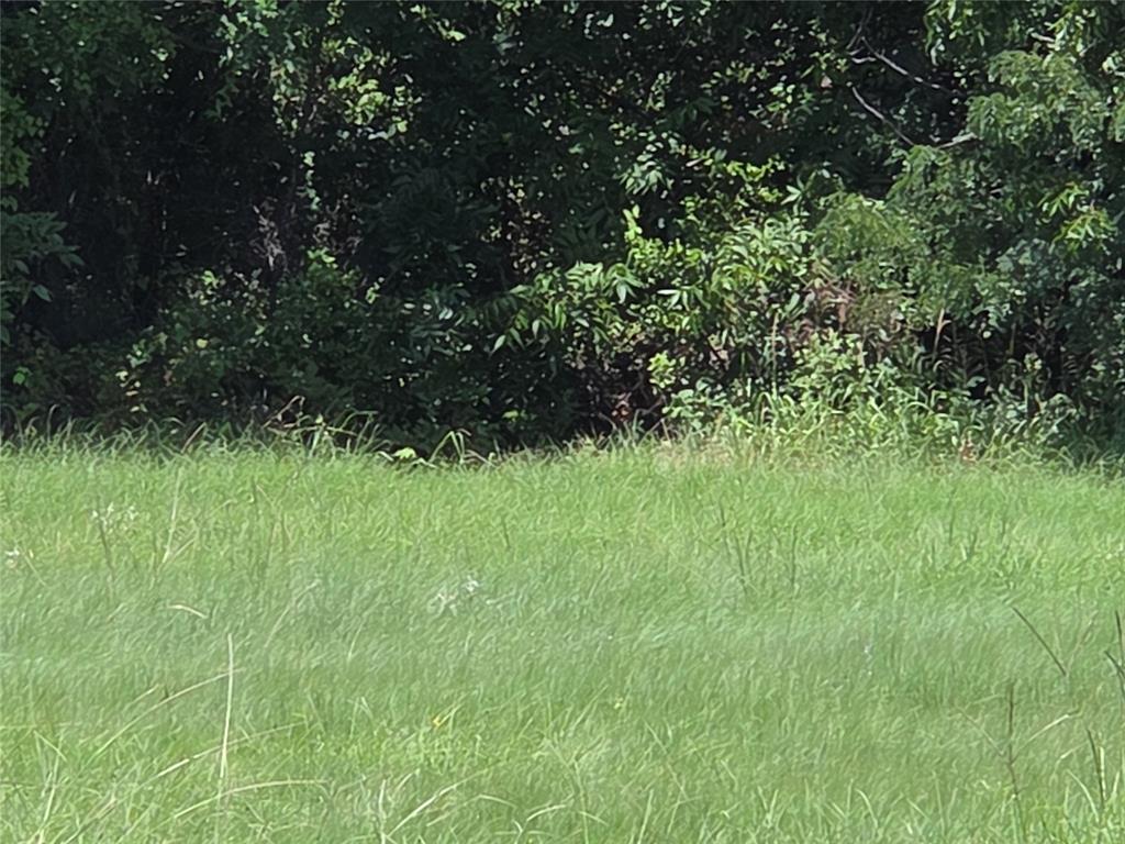 The Shores On Richland Chamb - Land