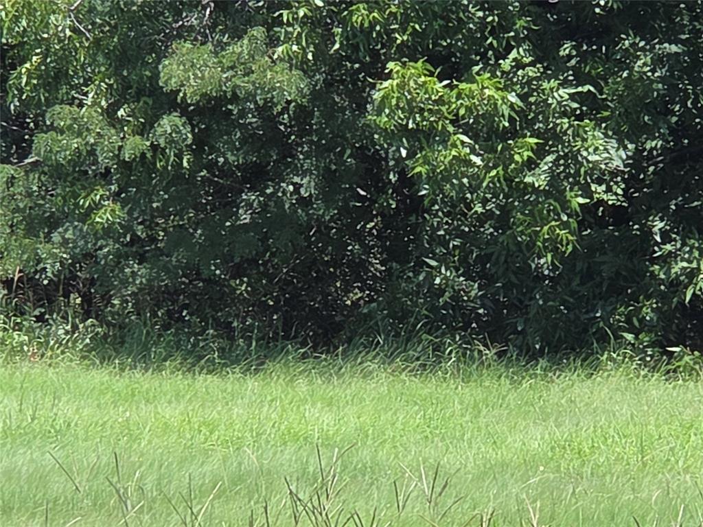 The Shores On Richland Chamb - Land