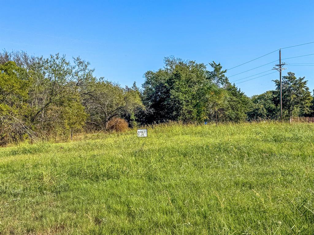 Carmel Valley Estates - Land