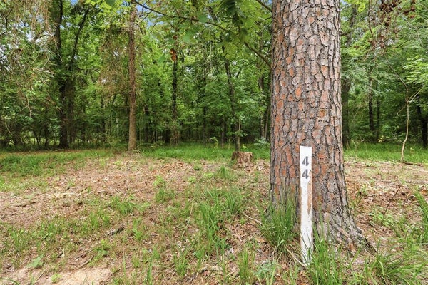 30 STERLING SHORES DR, SCROGGINS, TX 75480 - Image 8ec33b702e797cbb2e4d8814bbcbcb22/2655439581