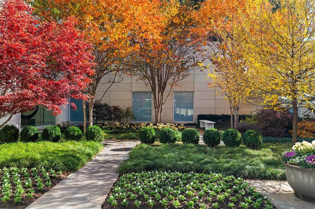 Museum Tower Condo - Residential