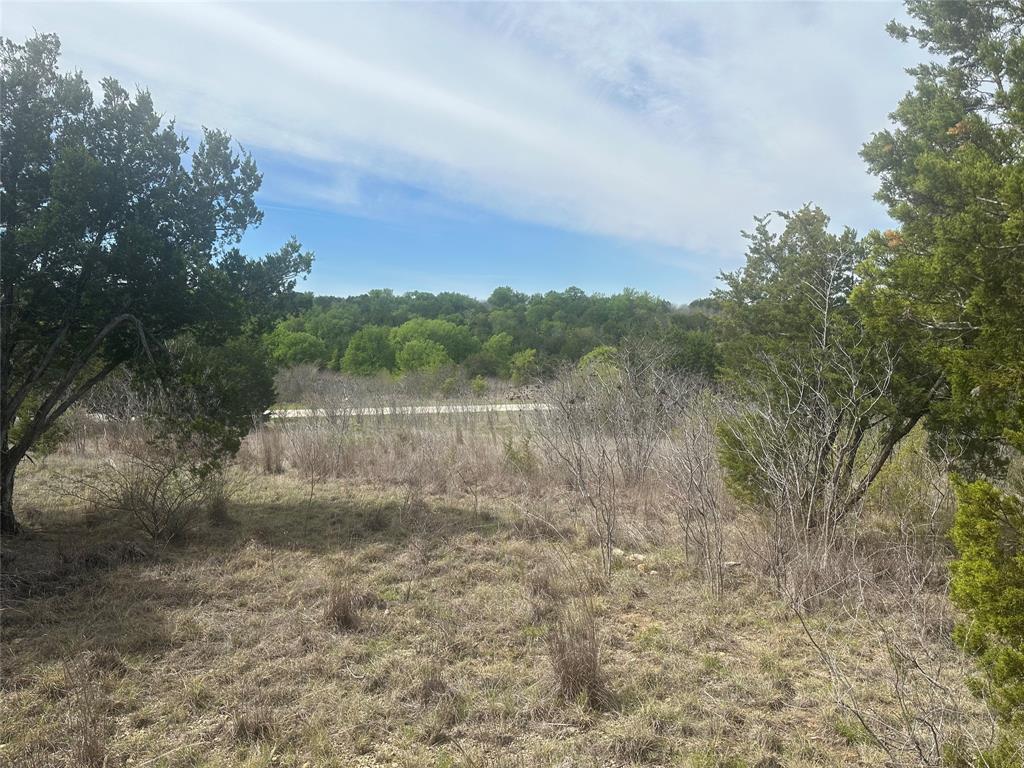 1241 Balcones Lane