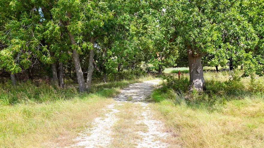 Discover the charm of country living on this 5.61-acre property in the heart of Bosque County. There are light deed restrictions (1,400 sq. ft. min build) and community amenities like a stocked pond and park. Just 10 mins to Meridian, less than 15 minutes to Hico, 25 mins to Glen Rose, and under an hour from Stephenville, Granbury, & Waco. With open space, a dry creek surrounded by native trees, and stunning Texas views, it’s the perfect spot to build your dream home or weekend getaway.

The seller is managing the offer process through FinalOffer.com. All offers must be submitted directly on the platform. Quickly search the property address and click the Make an Offer button to follow the prompts and submit your offer in minutes. A step-by-step guide is available in the disclosure section. The Final Offer concierge team will reach out to you directly, or you can call them at 617-639-1912 for US. Note: The seller reserves the right to add a Final Offer button at any time, which will secure the property at the specified price and terms. You can also save the property to receive real-time offer alerts.