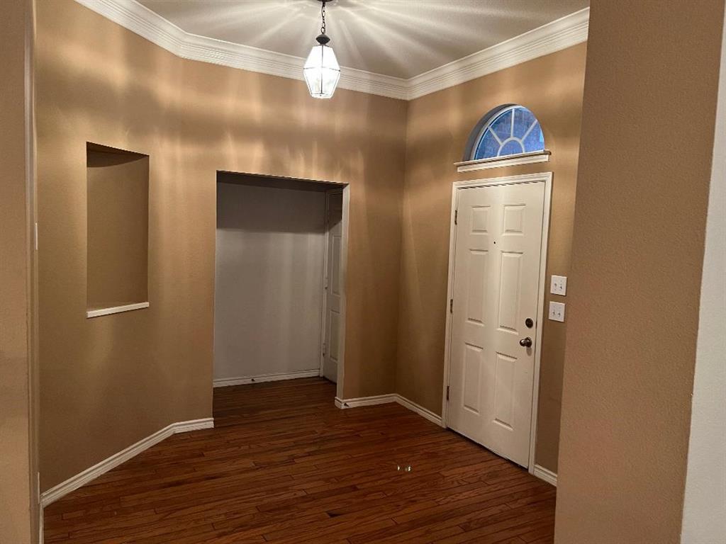 8501 Blacktail Trail