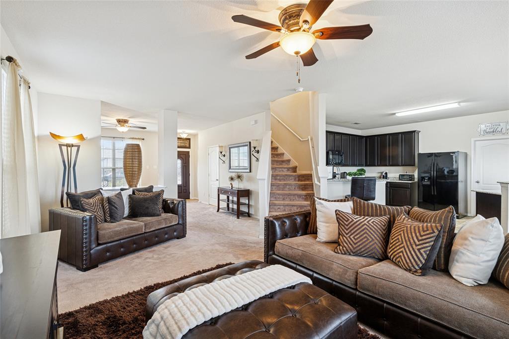 Palmilla Springs - Residential