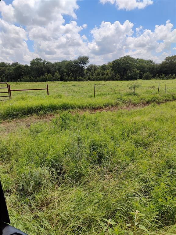 W Nelson 0678 - Land