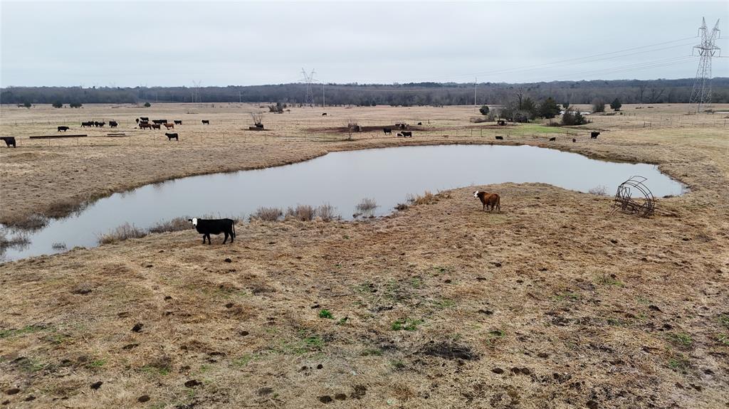 Tract 10 County Rd 4503