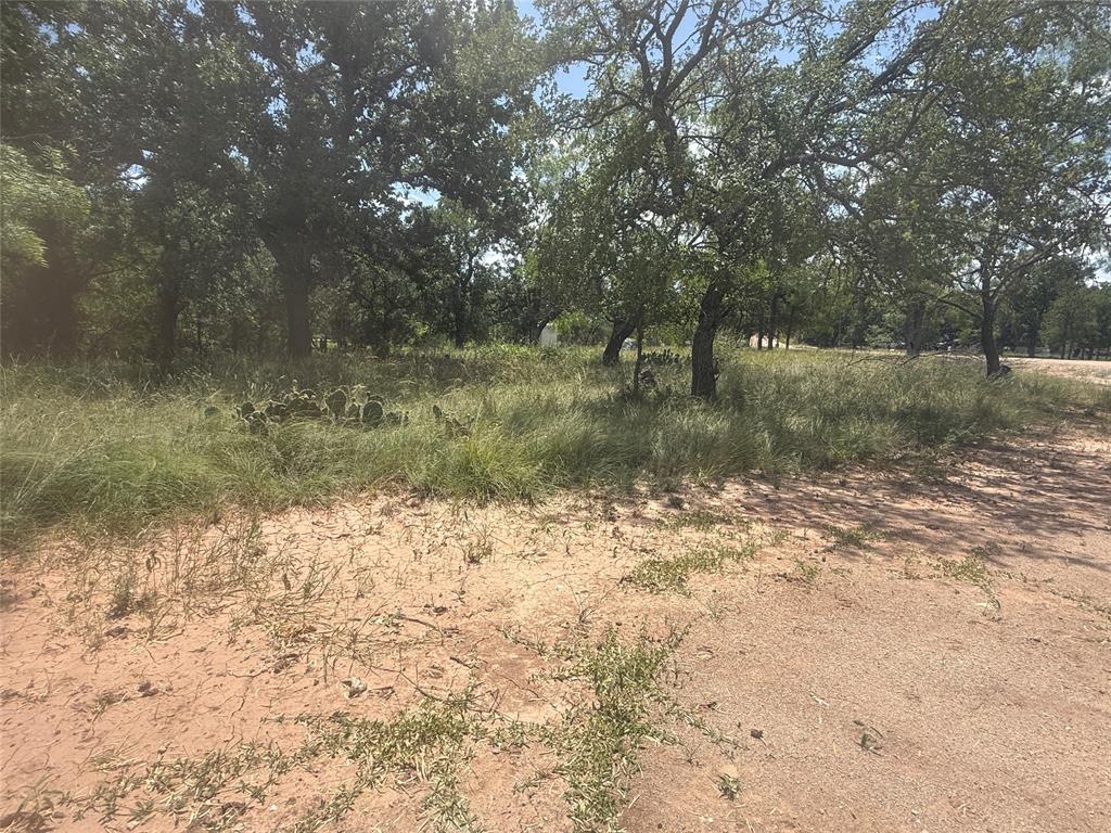 TBD (lot 691) S Lakes Drive