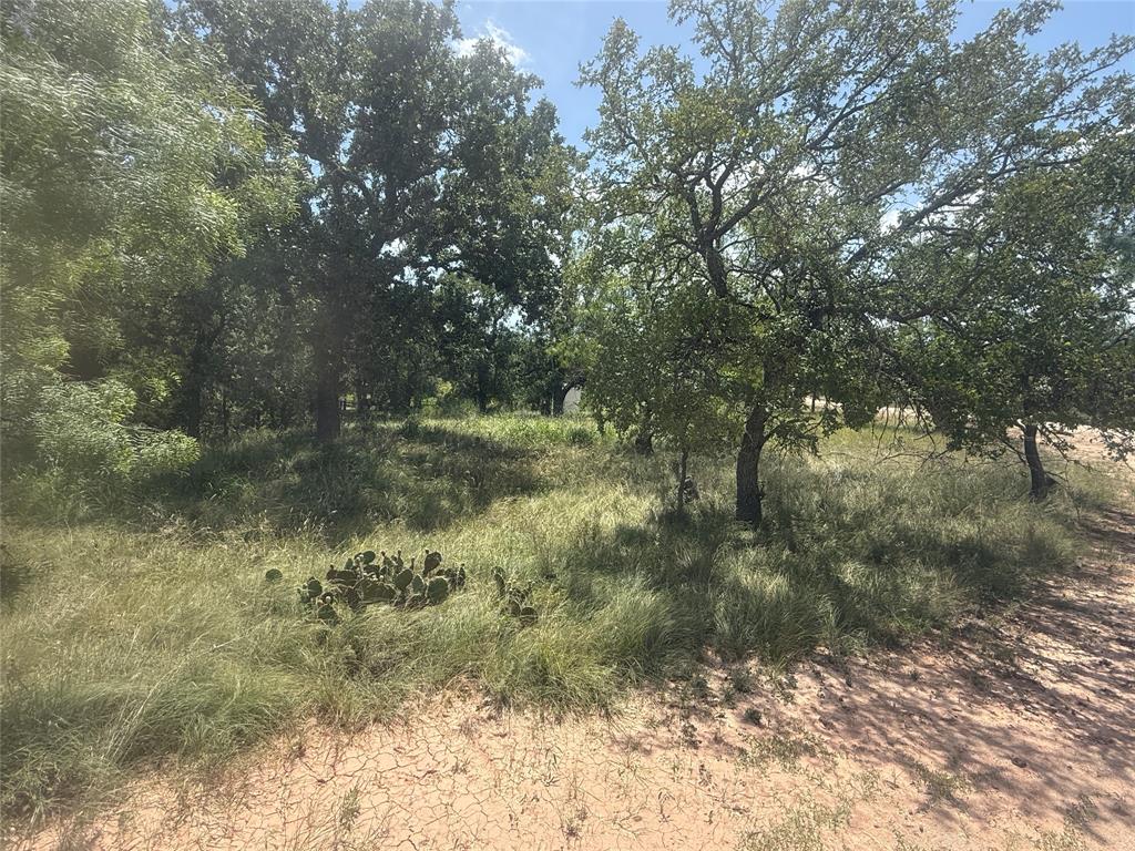 TBD (lot 691) S Lakes Drive