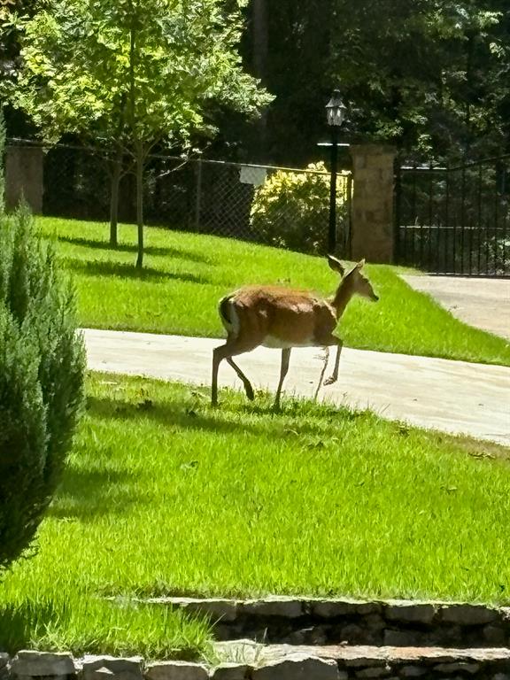 South Shore - Residential