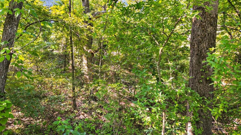 La Martinique Sub - Land