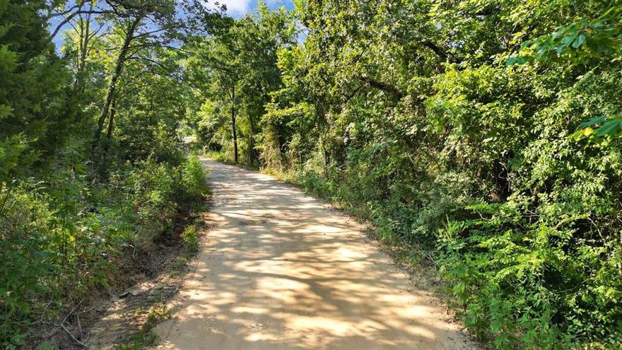 Discover a rare opportunity to own a piece of natural beauty near the serene Cedar Creek Reservoir. We proudly present four picturesque lots of land, each a canvas of untamed wilderness waiting for your vision. Whether you're seeking the tranquility of a secluded forest retreat or envisioning a dream home nestled within the lush woods, these lots offer endless possibilities. Embrace the chance to secure your private sanctuary, where the whispering leaves and rustling wildlife become your daily companions. You have the flexibility to acquire these lots individually or as a cohesive estate, making this a unique investment in the heart of nature's bounty. Don't miss the chance to own a slice of paradise where the majesty of the woods meets the serenity of Cedar Creek Reservoir. Seller is motivated.