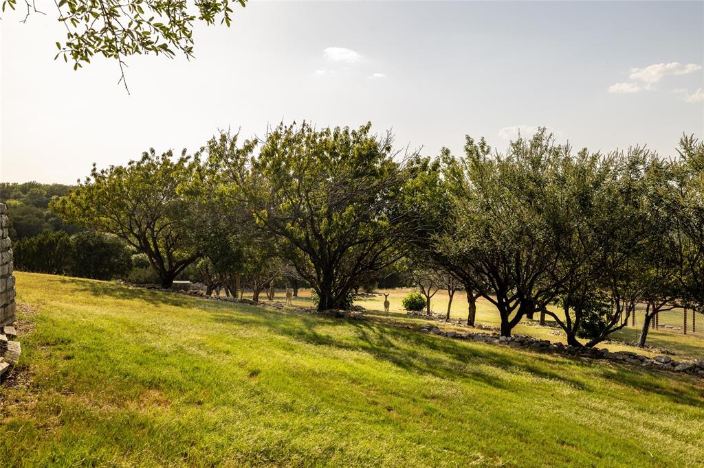 Hills Of Bear Creek - Residential