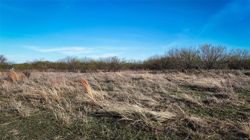 Bradley Daniel - Land