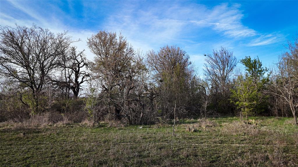 Bradley Daniel - Land