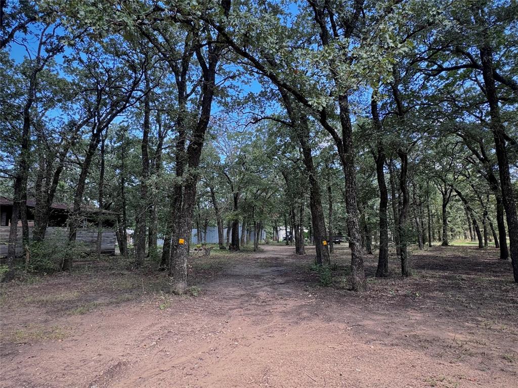 Tomas De La Vega - Residential