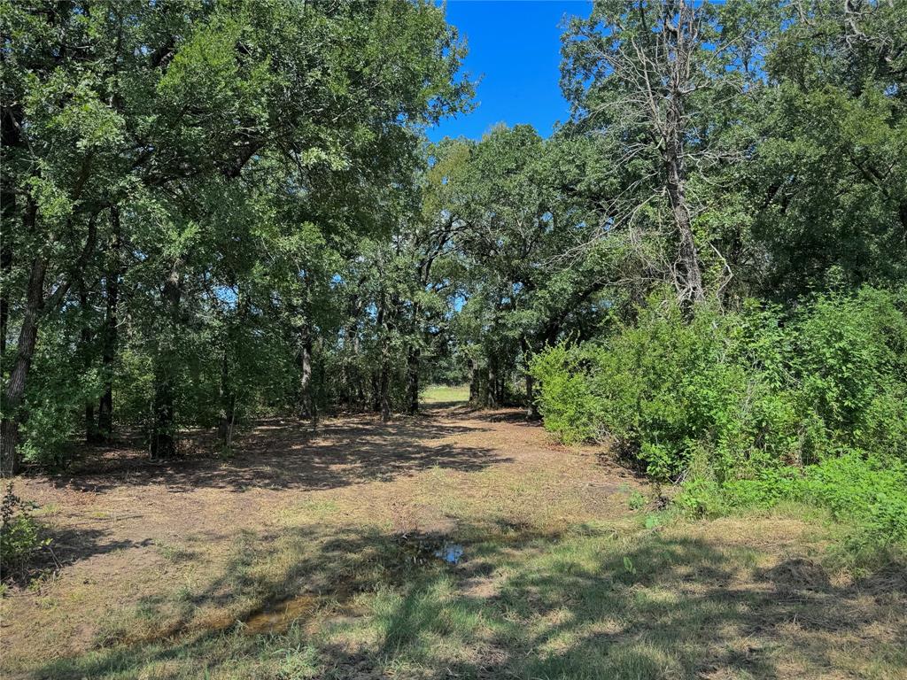 Tomas De La Vega - Residential