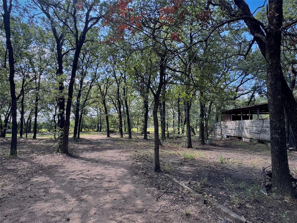 Tomas De La Vega - Residential