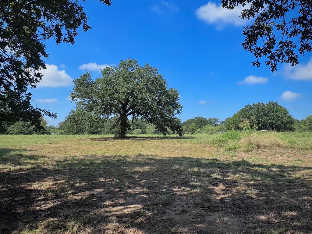 Tomas De La Vega - Residential