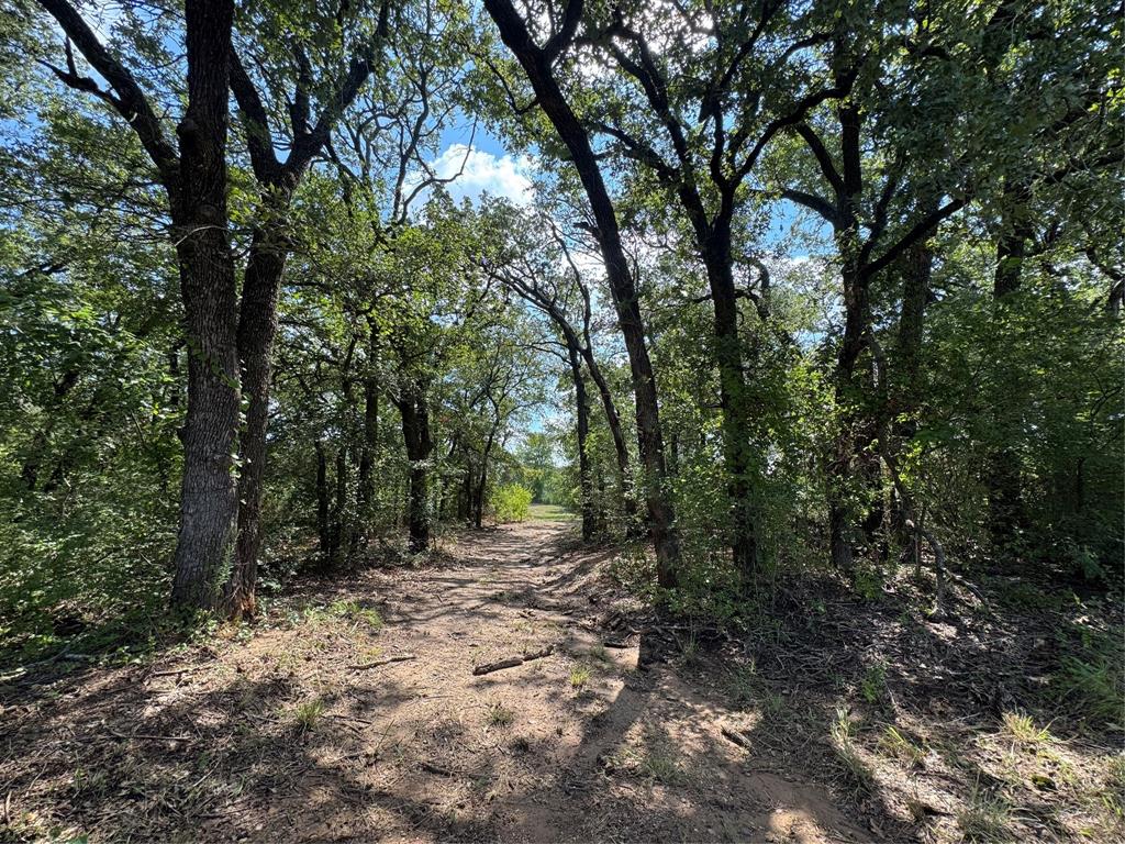 Tomas De La Vega - Residential