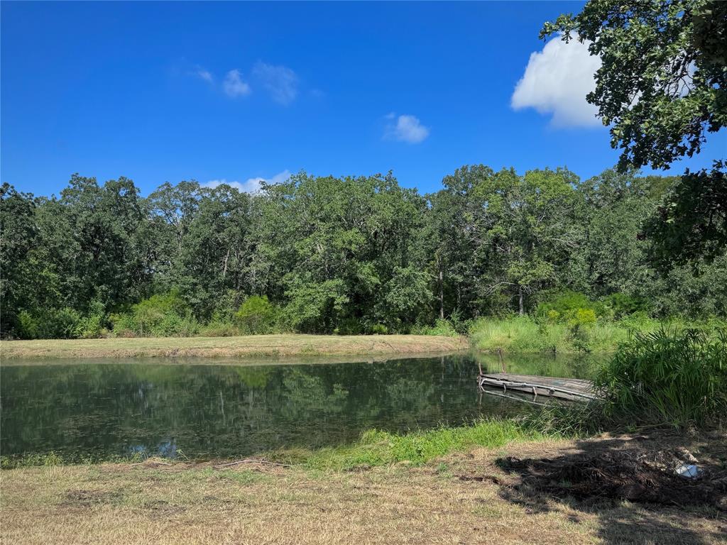 Tomas De La Vega - Residential