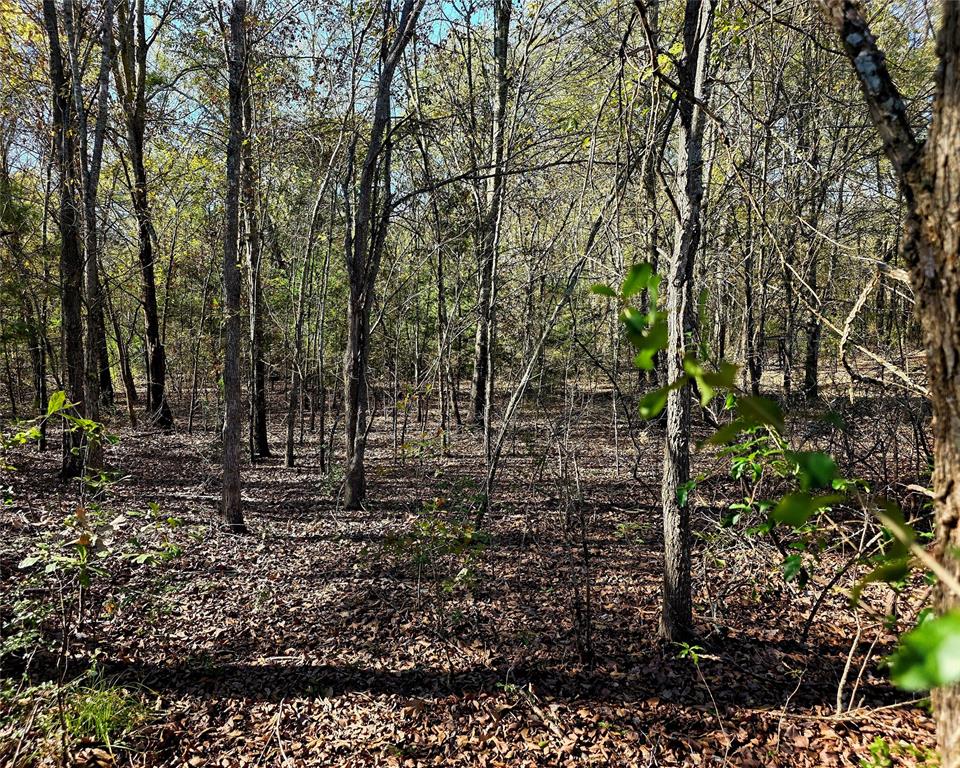 Valverde - Residential