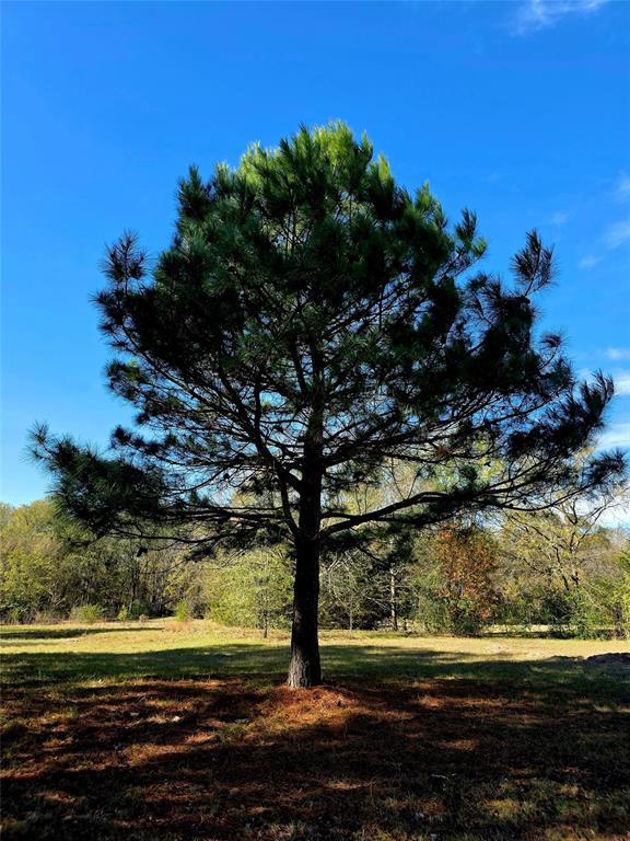 Valverde - Residential