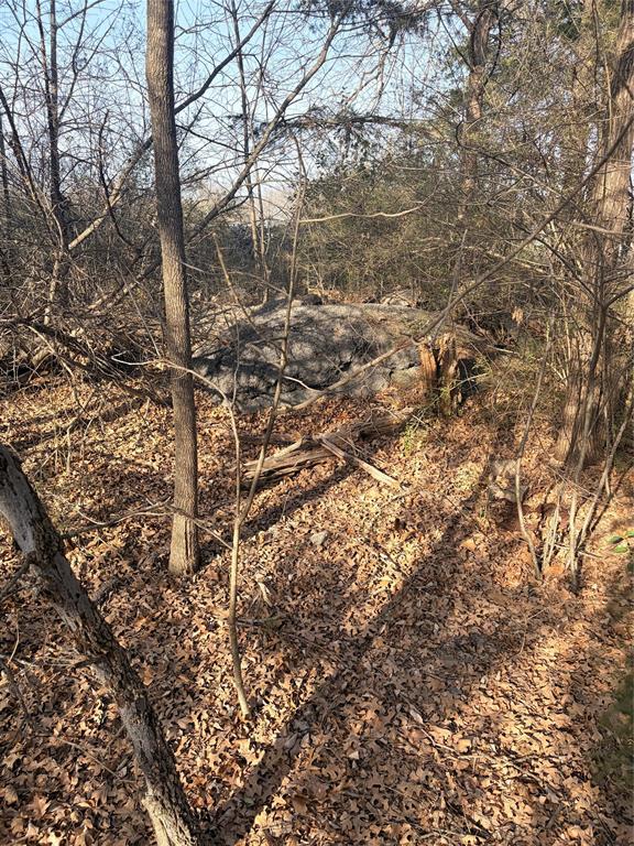 9421 San Leon Avenue